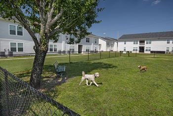 Pet park